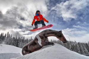 WPSnowboarder