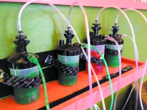 MotherLodge.Aromatherapy