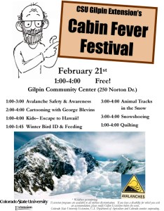 2015 Cabin Fever Festival