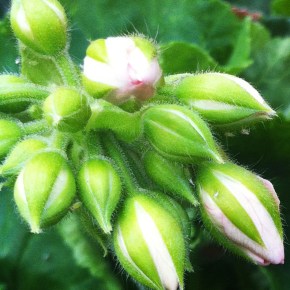 Artists selected for 2015 Art in the Park program at Rocky Mountain National&nbsp;Park