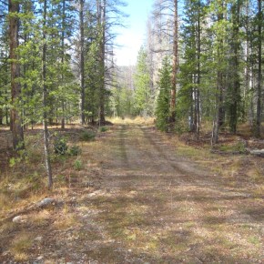 Rocky Mountain Conservancy transfers Johnson Property to Rocky Mountain National&nbsp;Park