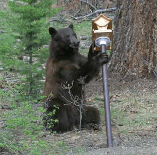 5fb73f4f-819e-44cd-8b41-acc2b86af46a