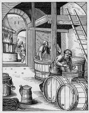 exhibition-OB3304-lg