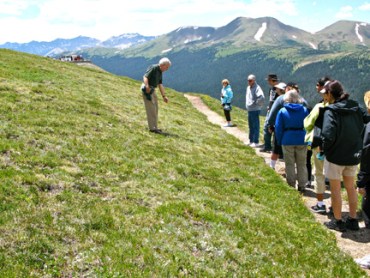 MedBow NeverSummers.sm