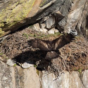 Eagle Rock Climbing Area in Boulder Canyon&nbsp;re-opens