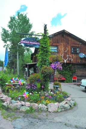 EaglePlumes2.outside